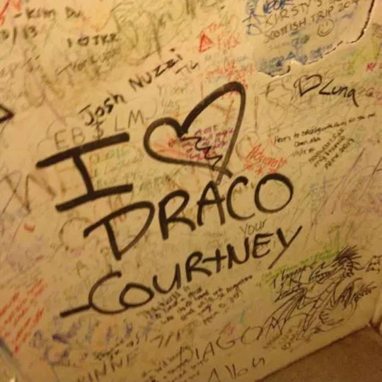 in the Elephant House cafe toilets a message professes love to Draco Malfoy