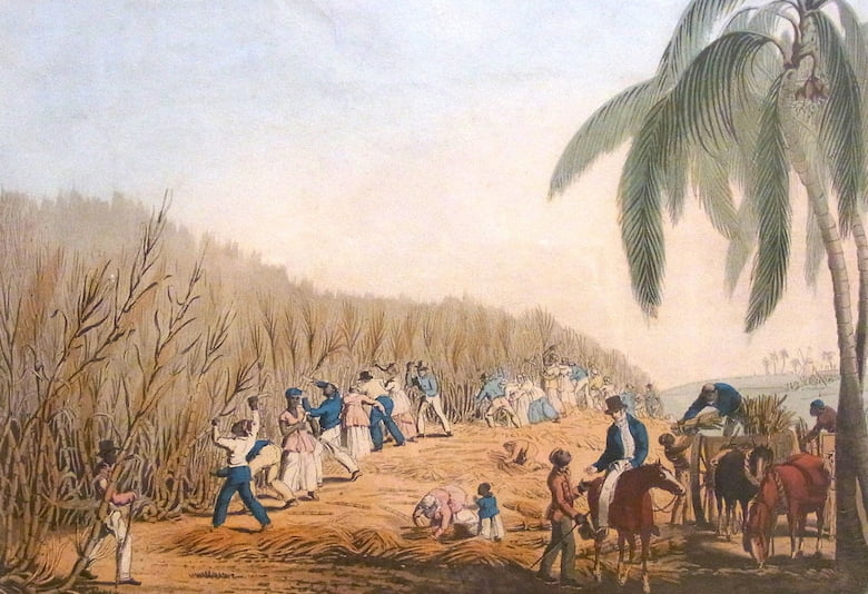 Tom Riddell marries into a Jamaican slave plantation