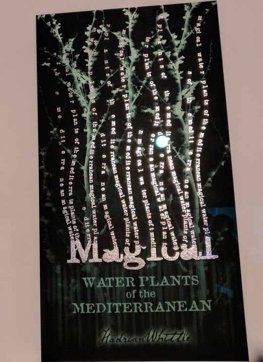 A textbook on magical waterplants at London's Harry Potter exhibition
