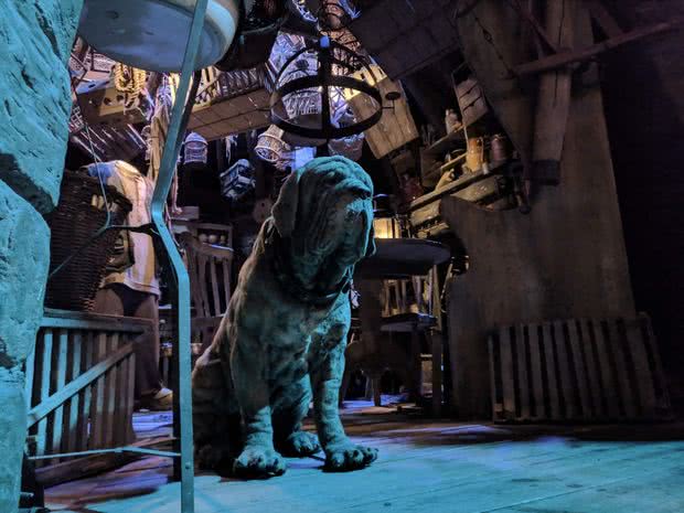 Hagrid's dog Fang stand guard at the door of his hut on Warner Brother's studio tour